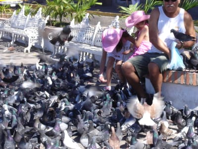 A163 MALECON.JPG