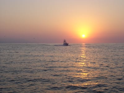A203 SUNSET.JPG
