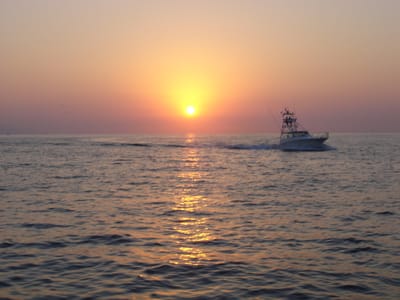 A204 SUNSET.JPG