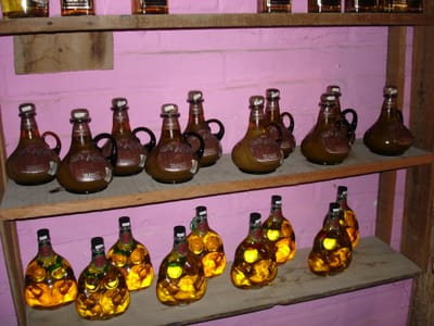 A229 TEQUILA TOUR.JPG