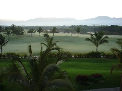A262 GOLF COURSE.JPG