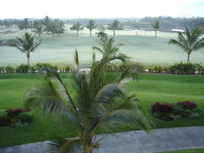 A266 GOLF COURSE.JPG