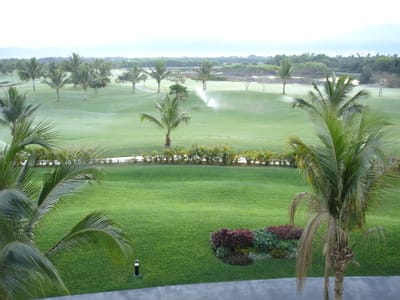 A267 GOLF COURSE.JPG
