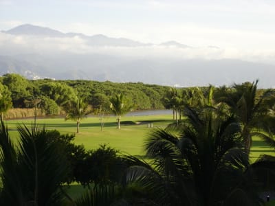 A272 GOLF COURSE.JPG