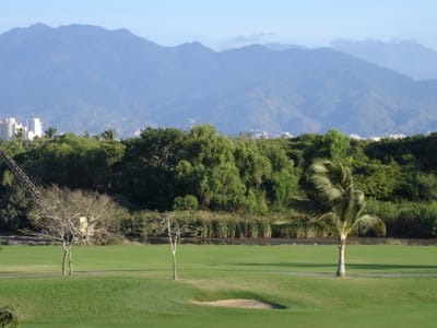 A273 GOLF COURSE.JPG