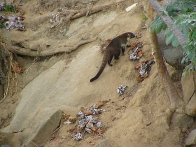 A295 Mexico 2006 069.jpg
