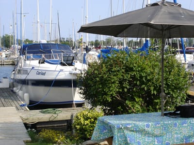 009 D 10 incl picnic table.jpg