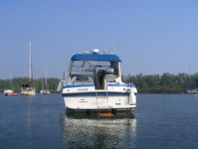014 At Aquatic 07 04.jpg