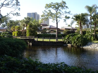 A045 View from Groves condo.JPG