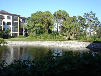 A046 More view.JPG