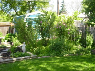 A-039 Saskatoon.JPG
