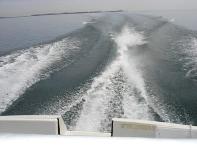 A056.JPG