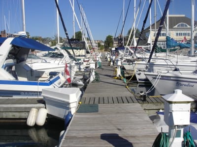 A152 D Dock.JPG