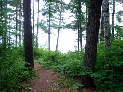 109 path to lake.JPG