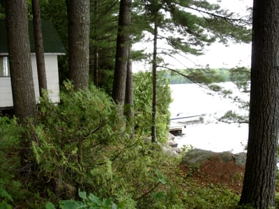 111 looking towards moms cottage.JPG