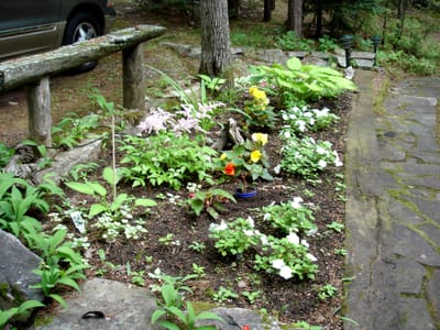 126 Marjs flower bed.JPG
