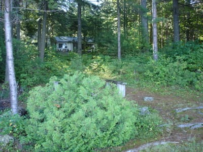 148 Path to cottage from shore.JPG