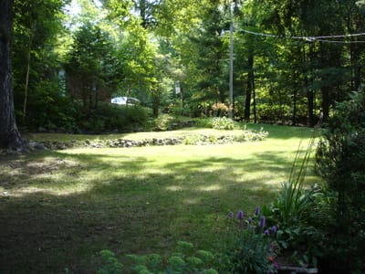 203 Garden.JPG