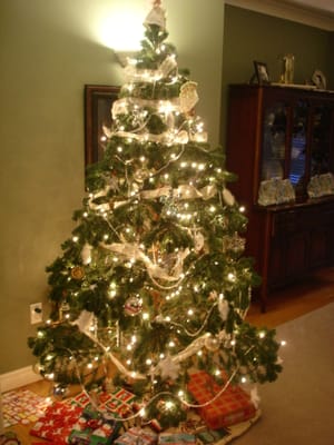 A-002 Lawson Tree .JPG