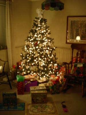 A-022 Lewis Tree Xmas AM.JPG