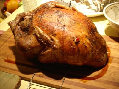 A-052 The Bird 24 pounds.JPG
