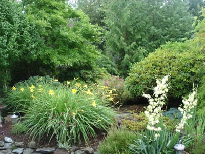A-012 Front Yard.JPG