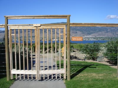 A-049 Vineyard.JPG