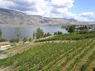 A-097 View from tower.JPG