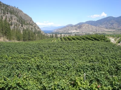 A-099 Seeyalater Winery.JPG