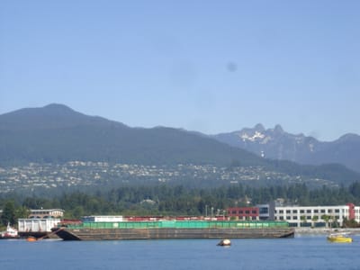 A-185 looking back at BYC.JPG