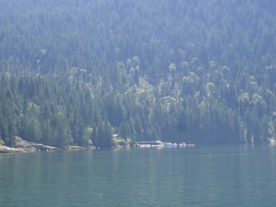 A-223 McGlashan's old property.JPG
