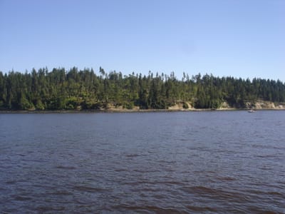 A-227 Stanley  Park.JPG