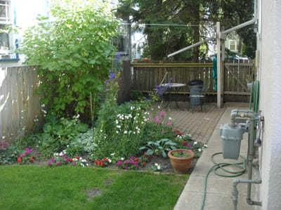 A-303 Side yard.JPG