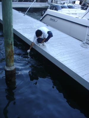 A 116 Feeding the dolphins.JPG