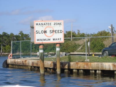 A 240 Opposite Cruise Boat terminal.JPG