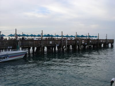 A 333 Dock.JPG