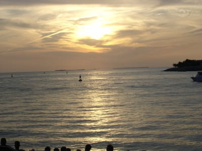 A 342 Sunset 2.JPG