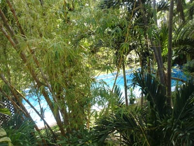 A 362 Pool from verandah.JPG
