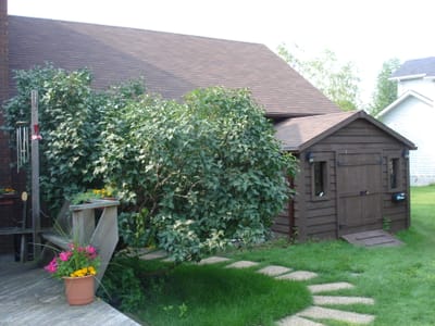 A-054.JPG