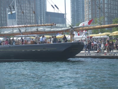 A-085 Bluenose.JPG
