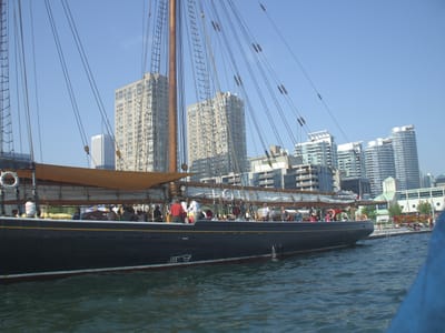 A-087 Bluenose.JPG