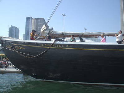A-090 Bluenose.JPG