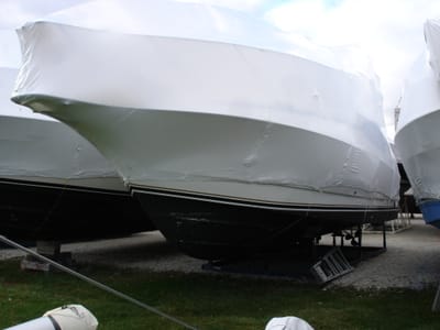 A-230 Sweetness 081118.JPG