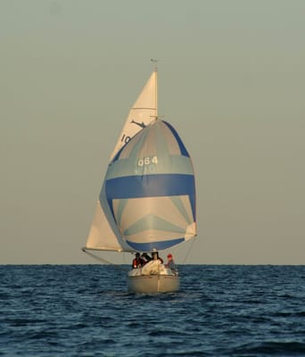 A-016 sailing pals2.jpg