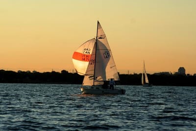 A-017 sailing pals.jpg