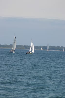 IMG_2839.JPG