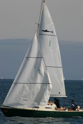 IMG_2842.JPG