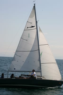 IMG_2865.JPG