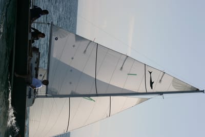 IMG_2867.JPG