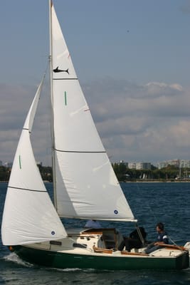 IMG_2882.JPG